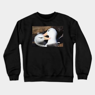 Black-browed Albatross Pair Bonding Crewneck Sweatshirt